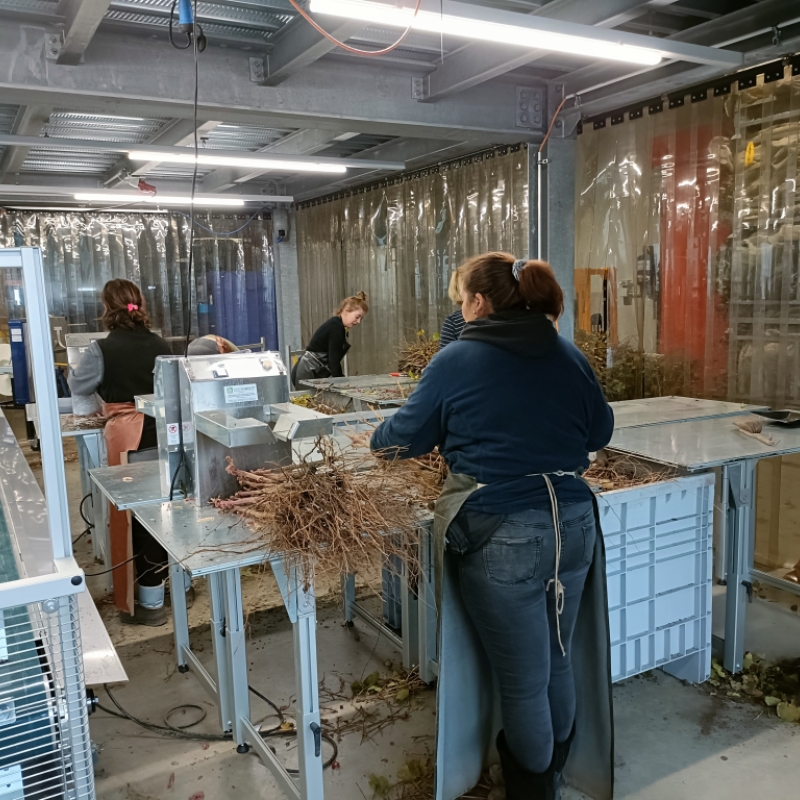 Italian innovation in Switzerland: the strategic partnership with Multiplants Sarl - Gallery