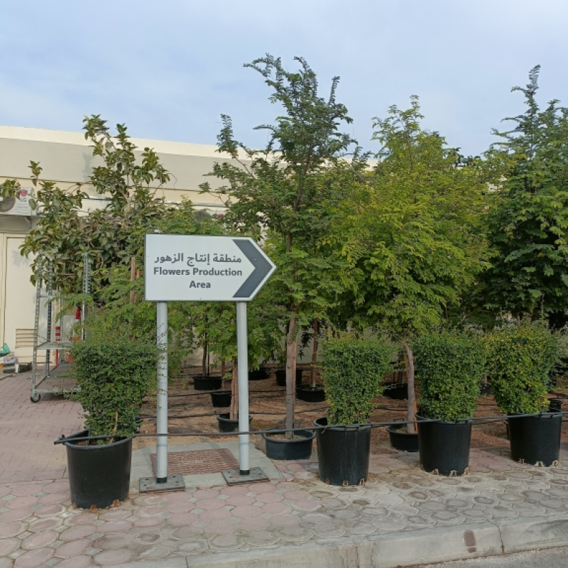 Electrozeta’s innovative technologies land in the UAE: expanding into new markets and creating new opportunities - Gallery