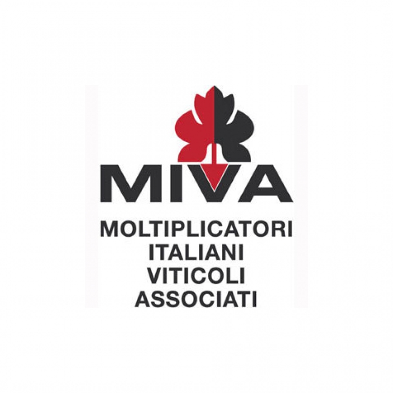 45° Congresso M.I.V.A. - Cagliari
