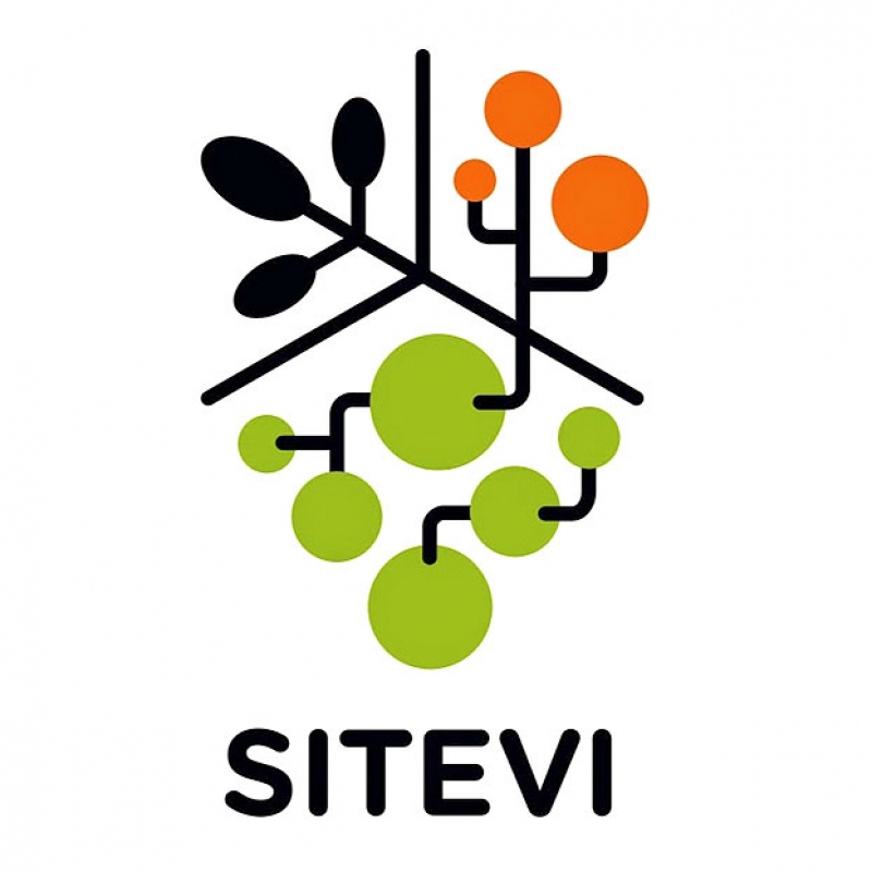 SITEVI 2015